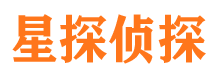 溆浦市调查公司